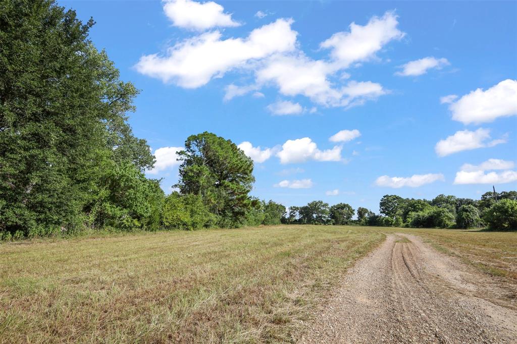 28300 County Road 2100 Property Photo 37