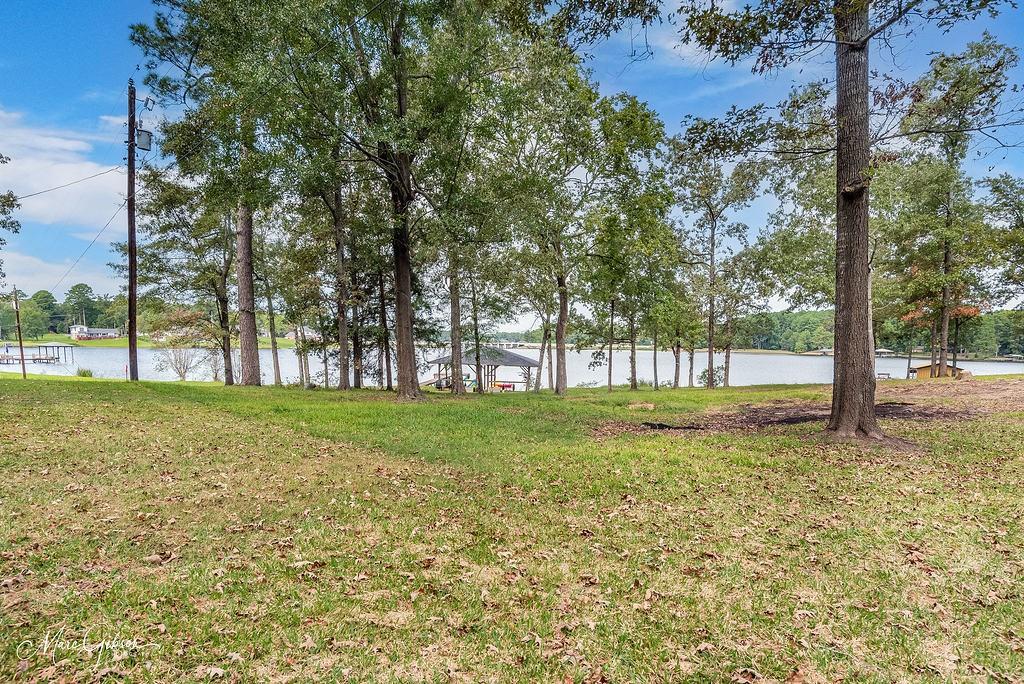 251 Jessie Jones Drive Property Photo 4
