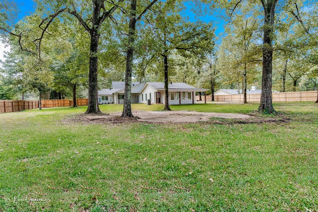 251 Jessie Jones Drive Property Photo 33