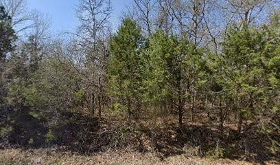 6210 Texas Trail Property Photo 1