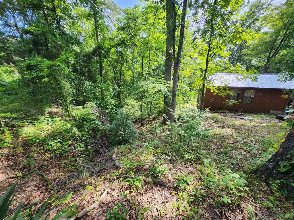 94 Pr 52001 Property Photo 5