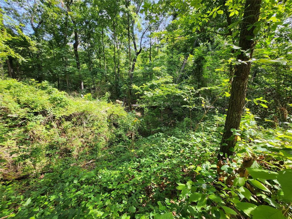 94 Pr 52001 Property Photo 20