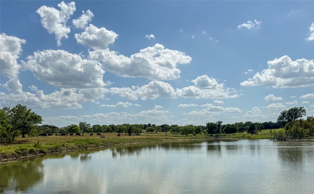 1042 Highway 174 Property Photo 3