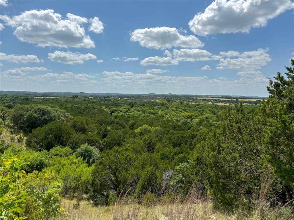 1042 Highway 174 Property Photo 9