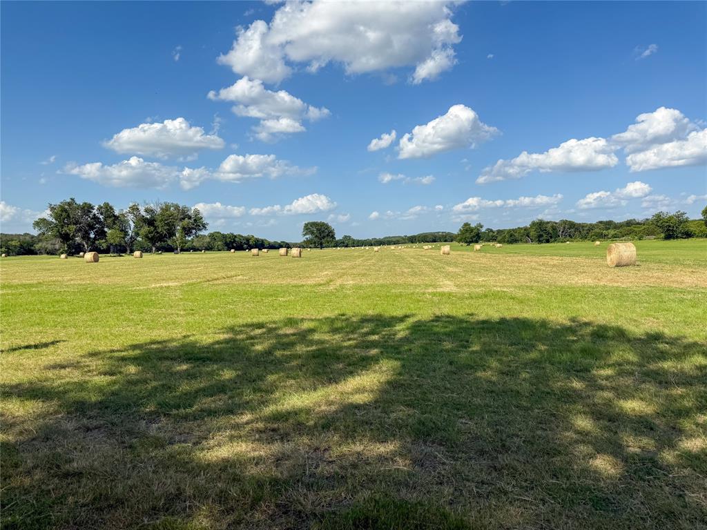 1042 Highway 174 Property Photo 20
