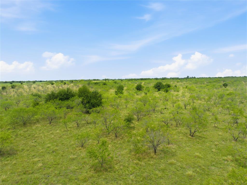 1594 Lcr 312 Property Photo 17