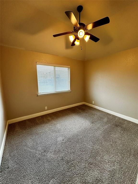 3011 Winecup Court Property Photo 19