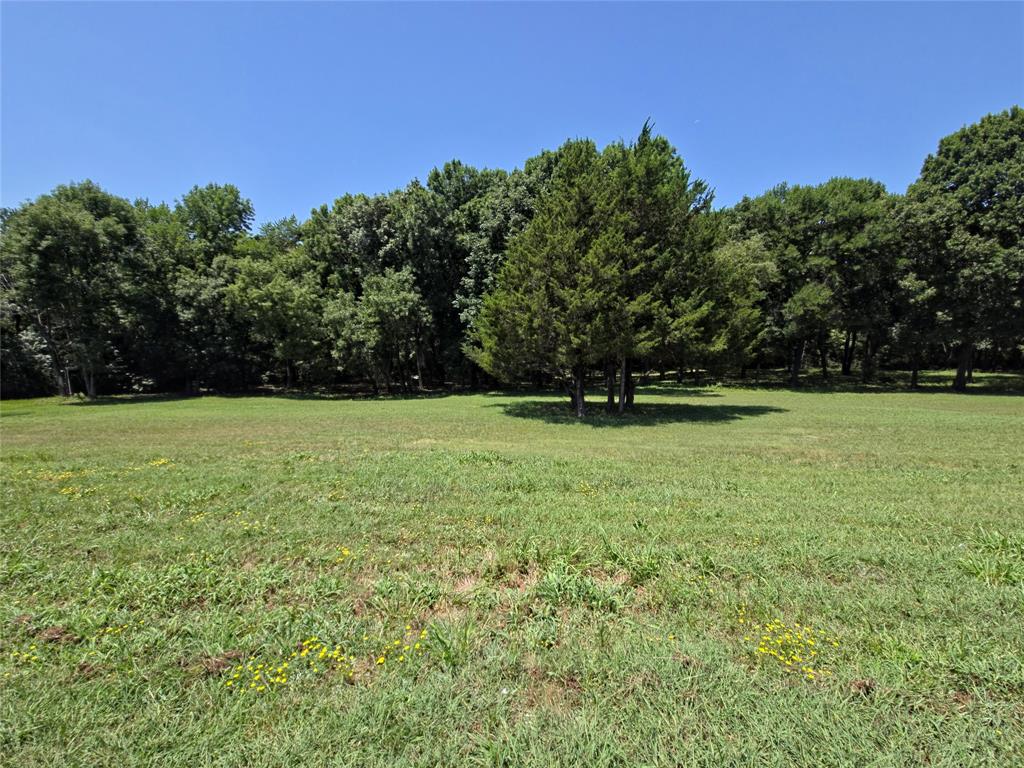0000 County Road 525 Property Photo 9