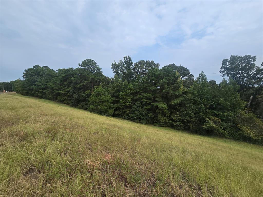 Tbd W Loop 571 P-3a Property Photo 5