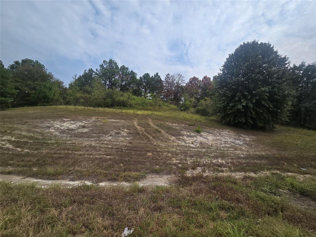 Tbd W Loop 571 P-3a Property Photo 7