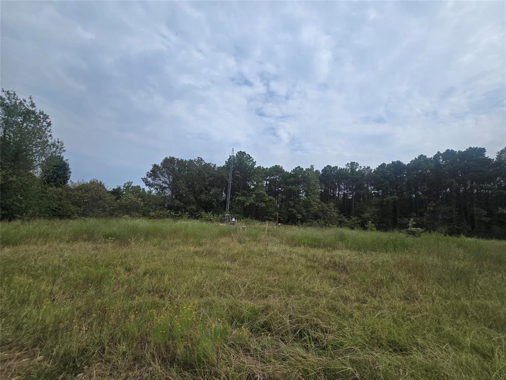 Tbd W Loop 571 P-3a Property Photo 8