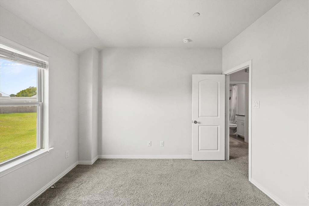 2317 Cortellia Street Property Photo 24