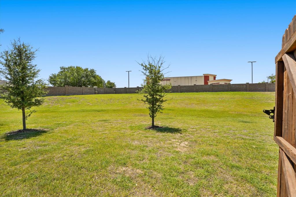 2317 Cortellia Street Property Photo 30