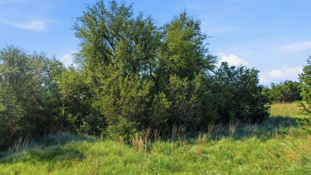 100 Gilmore Court Property Photo 14