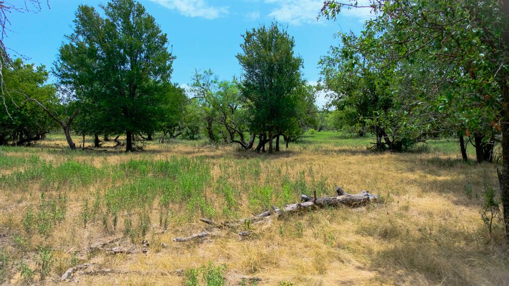 1922 Loving Road Property Photo 11
