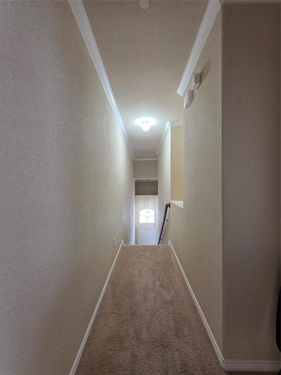 8717 Whitehead Street Property Photo 9