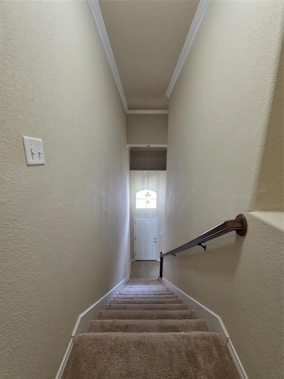 8717 Whitehead Street Property Photo 10