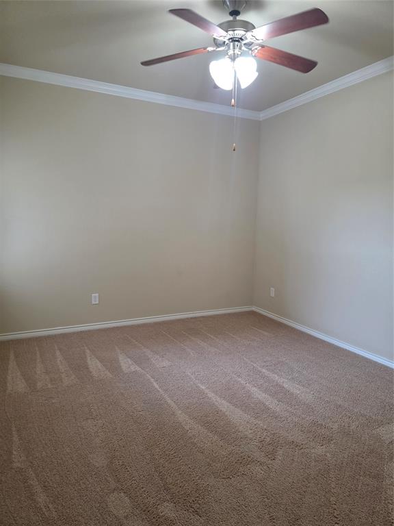 8717 Whitehead Street Property Photo 25