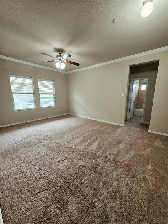 8717 Whitehead Street Property Photo 26