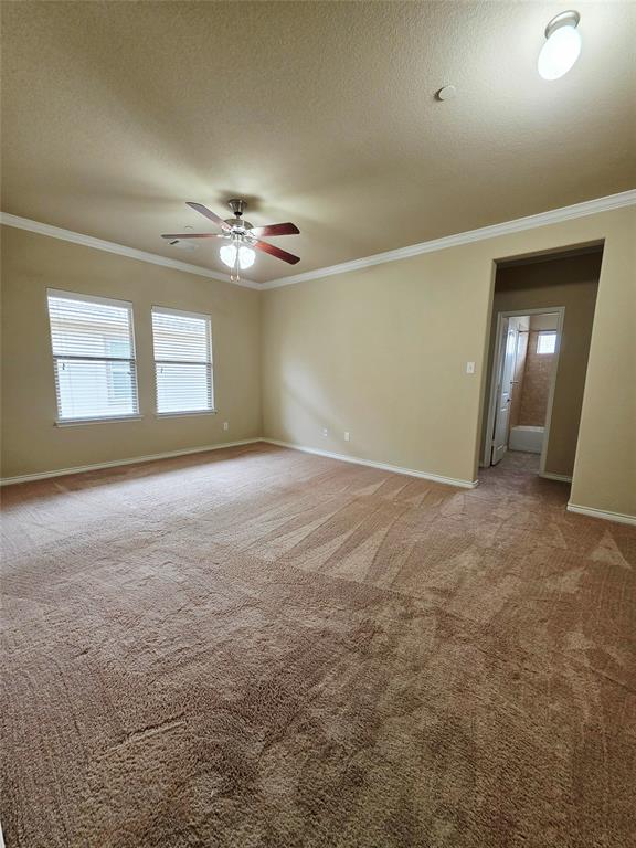 8717 Whitehead Street Property Photo 27