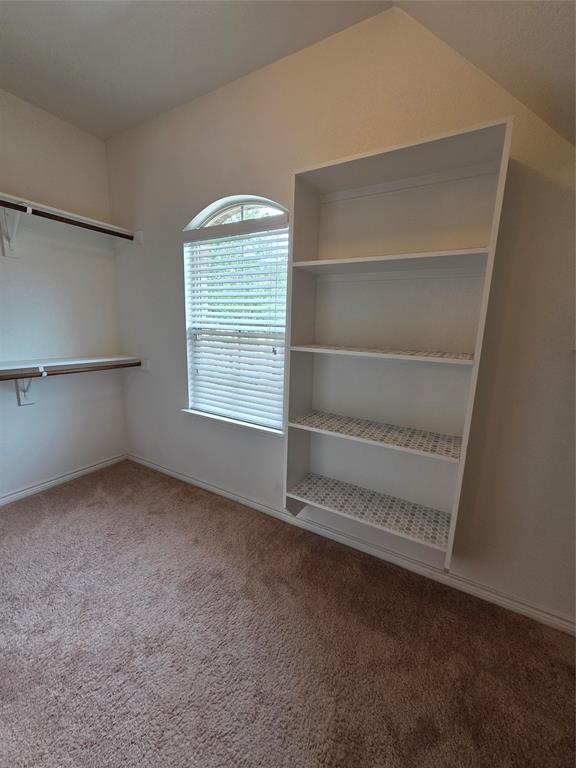 8717 Whitehead Street Property Photo 28
