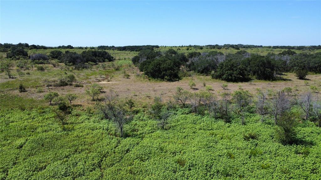 Tdb Fm 2486 Property Photo 16
