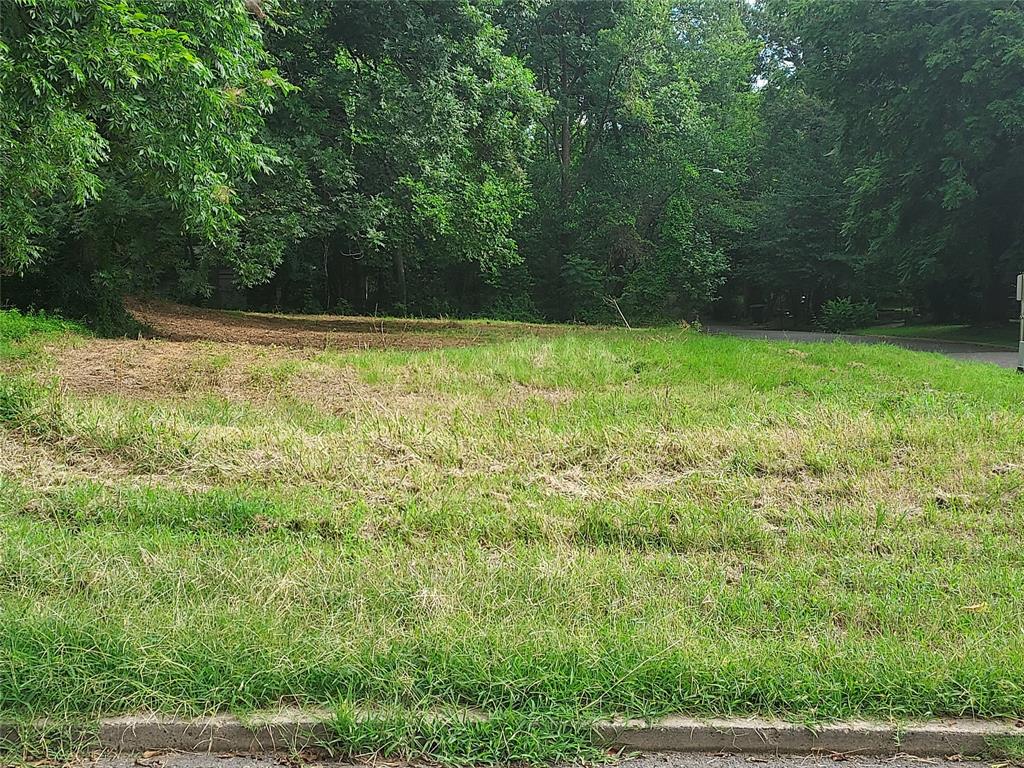 662 Buckelew Property Photo 3