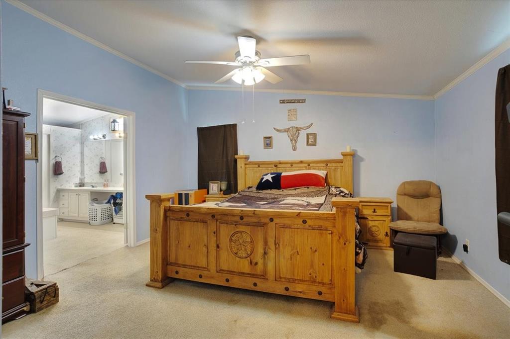 2035 Fm-1566 Property Photo 25
