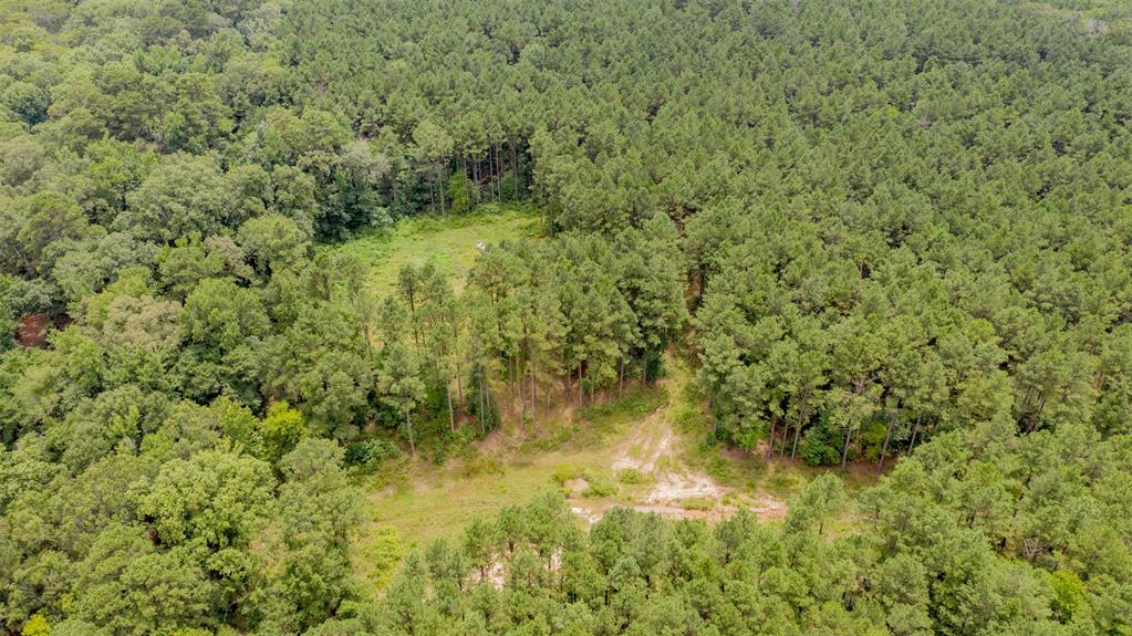 1 Highway 157 Property Photo 5