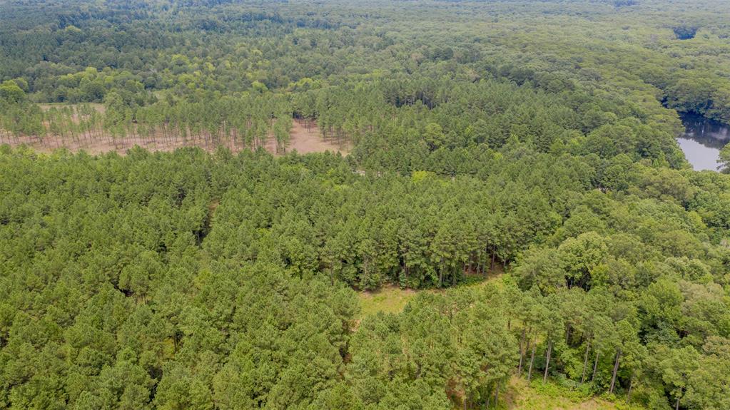 1 Highway 157 Property Photo 7