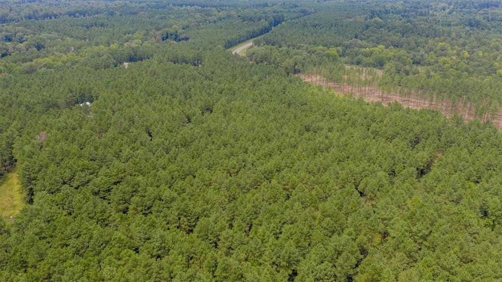 1 Highway 157 Property Photo 8