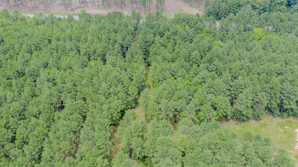 1 Highway 157 Property Photo 13