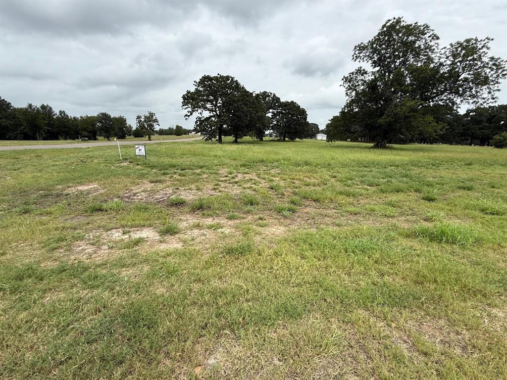 240 Shoreline Drive Property Photo 2