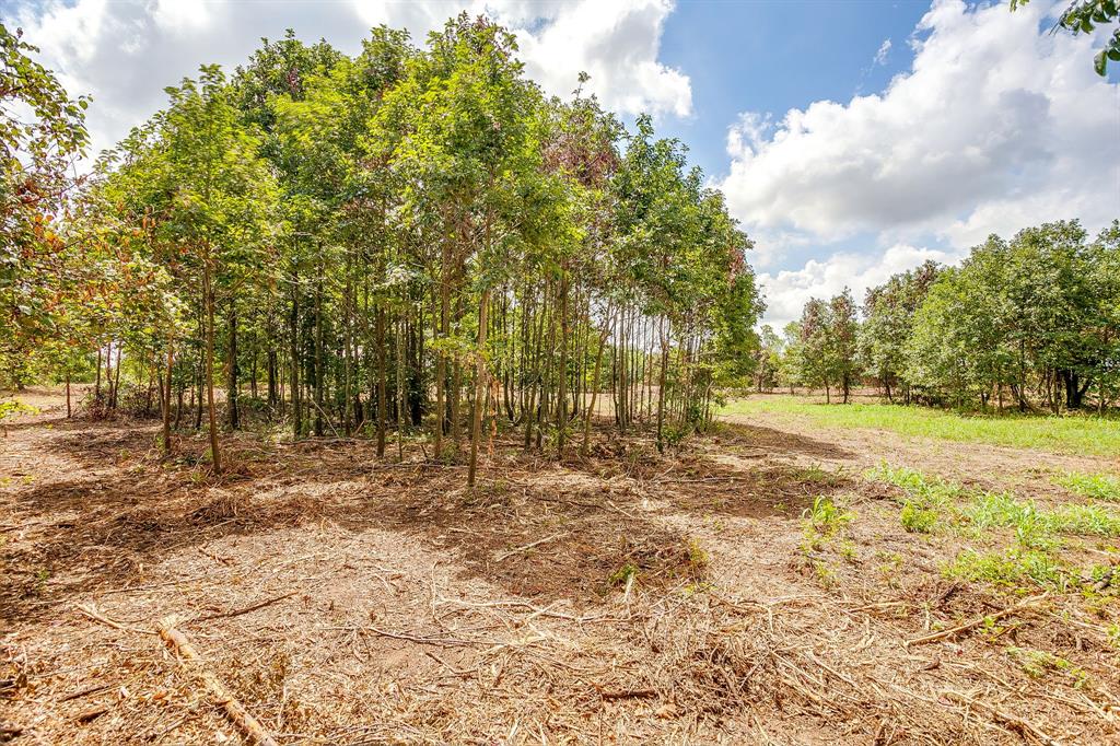 Tbd-2 Clover Drive Property Photo 11