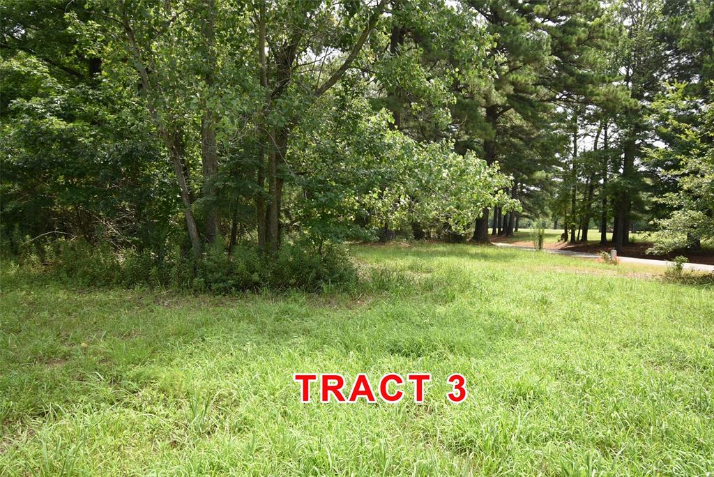 Tract 3 County Road 3117 Property Photo 4