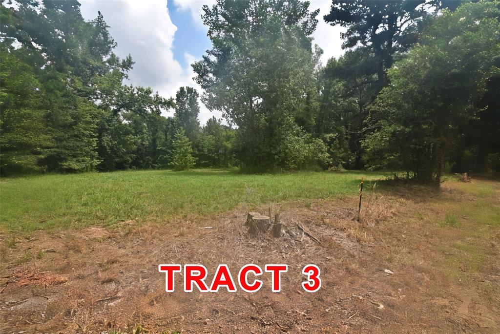 Tract 3 County Road 3117 Property Photo 6