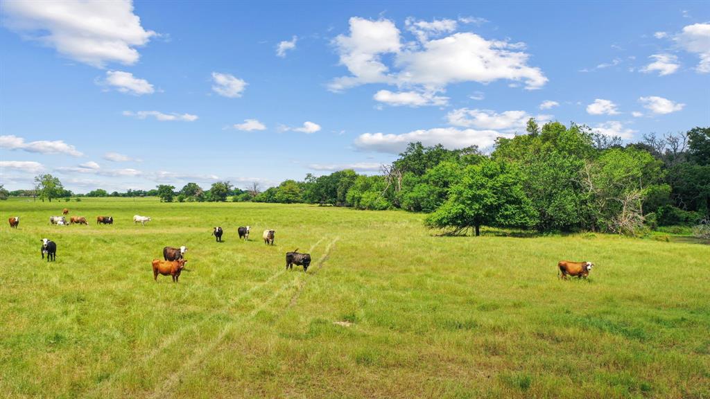 1080 Grand Oaks Ranch Road Property Photo