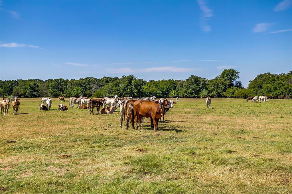 1080 Grand Oaks Ranch Road Property Photo 4