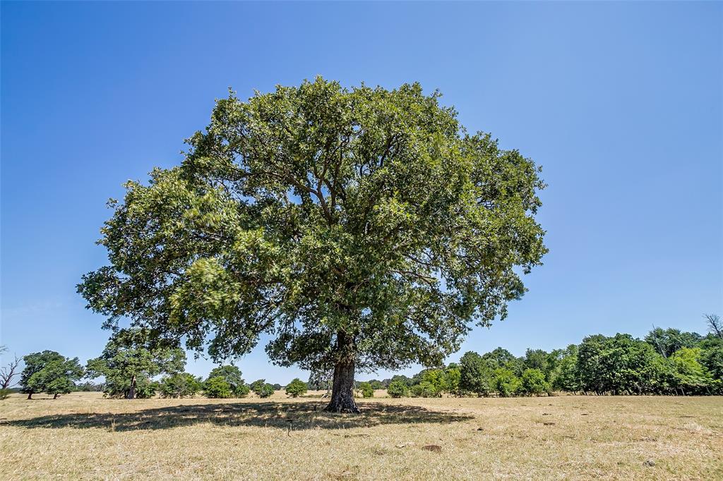 1080 Grand Oaks Ranch Road Property Photo 17