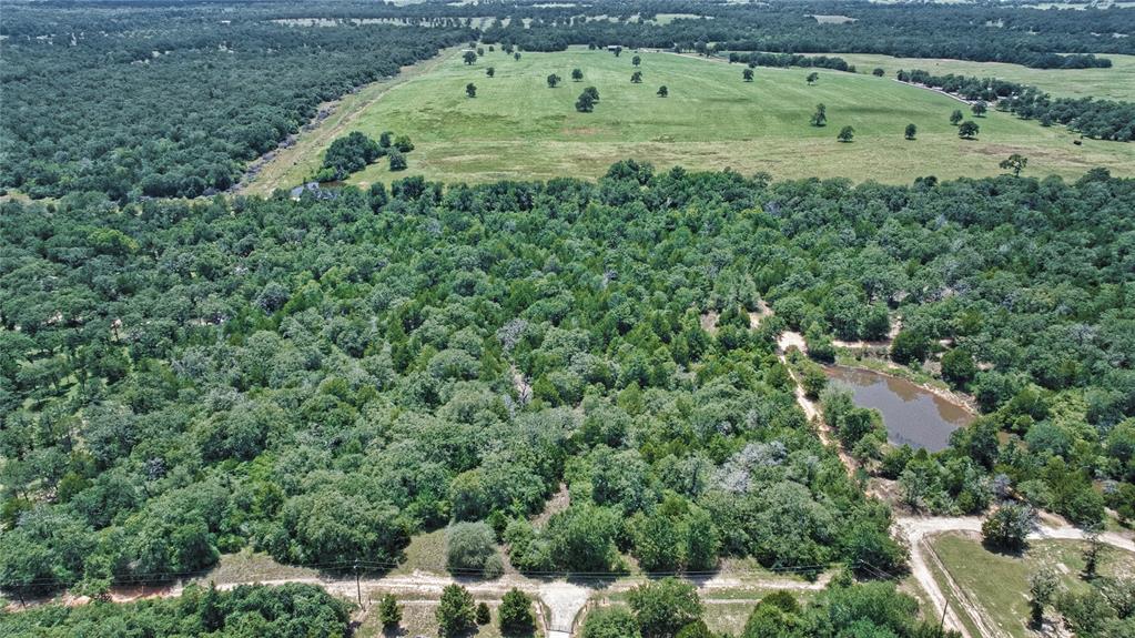 801 Starlight Path Road Property Photo 6