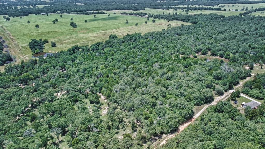 801 Starlight Path Road Property Photo 7