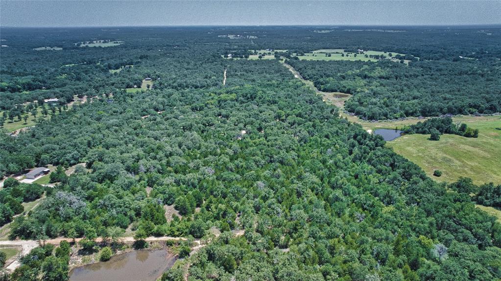 801 Starlight Path Road Property Photo 8