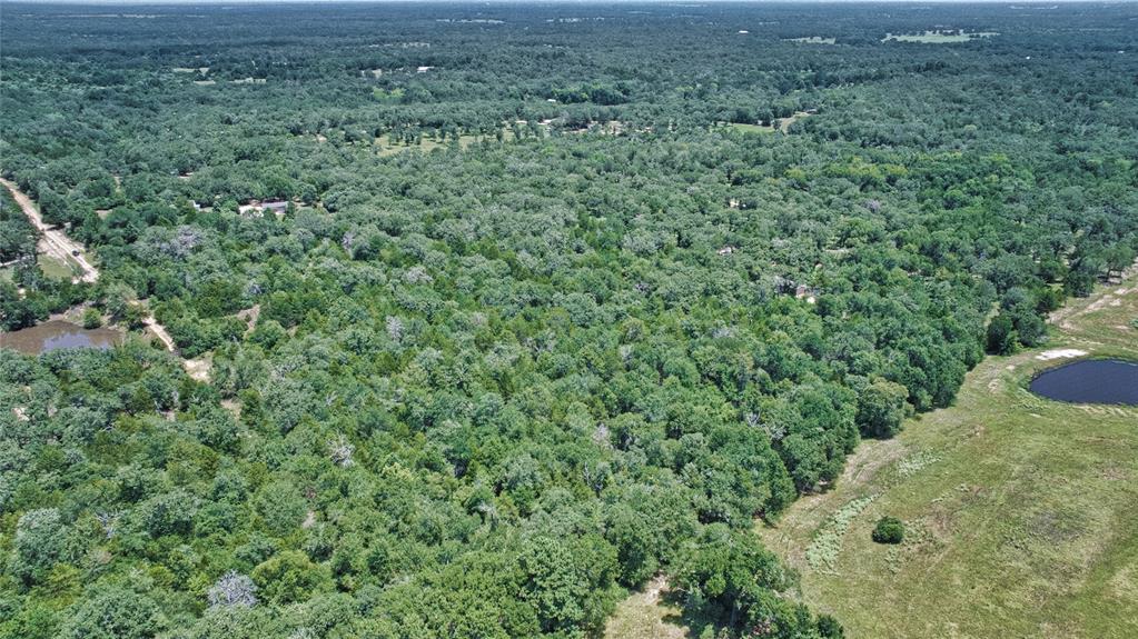 801 Starlight Path Road Property Photo 9