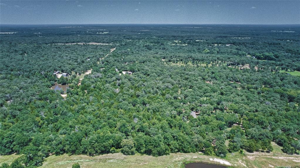 801 Starlight Path Road Property Photo 10