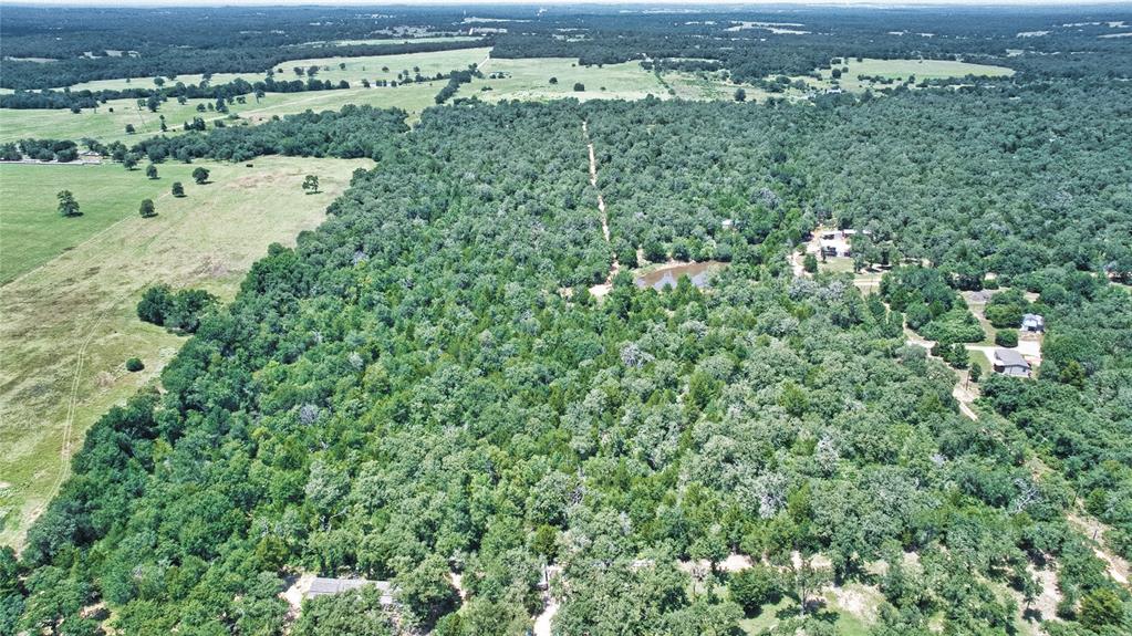801 Starlight Path Road Property Photo 12