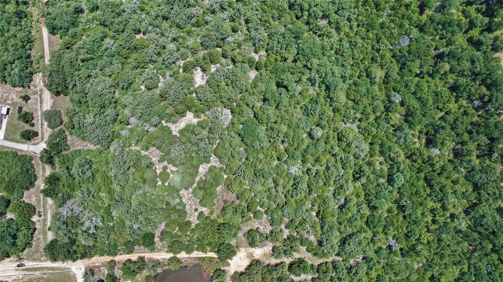 801 Starlight Path Road Property Photo 14