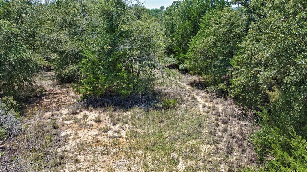 801 Starlight Path Road Property Photo 18