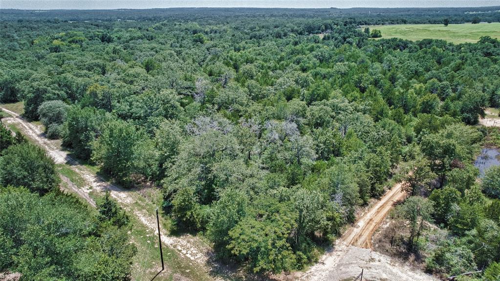 801 Starlight Path Road Property Photo 26