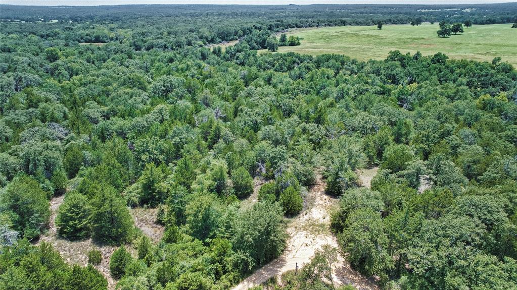 801 Starlight Path Road Property Photo 27