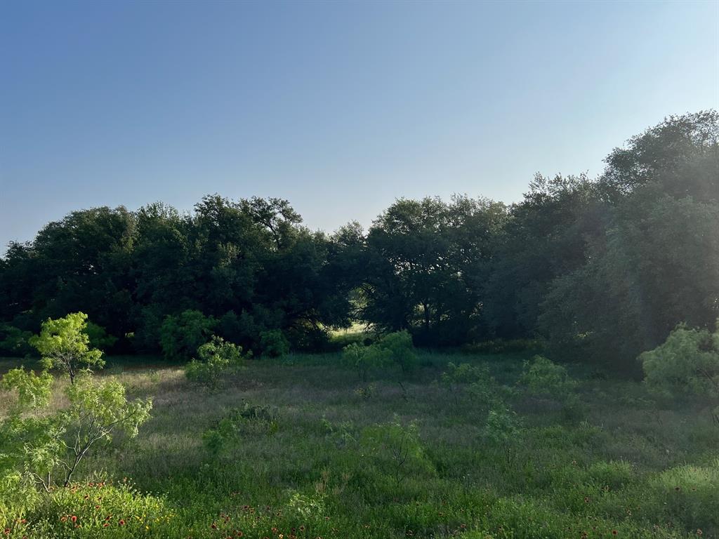 Tbd S Hwy 16 Property Photo 3